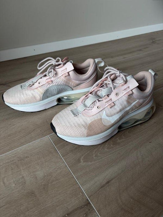 Nike Air Max Bleikir